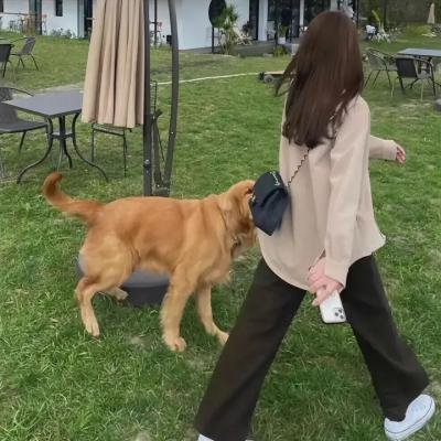 小公主苏菲亚第四季